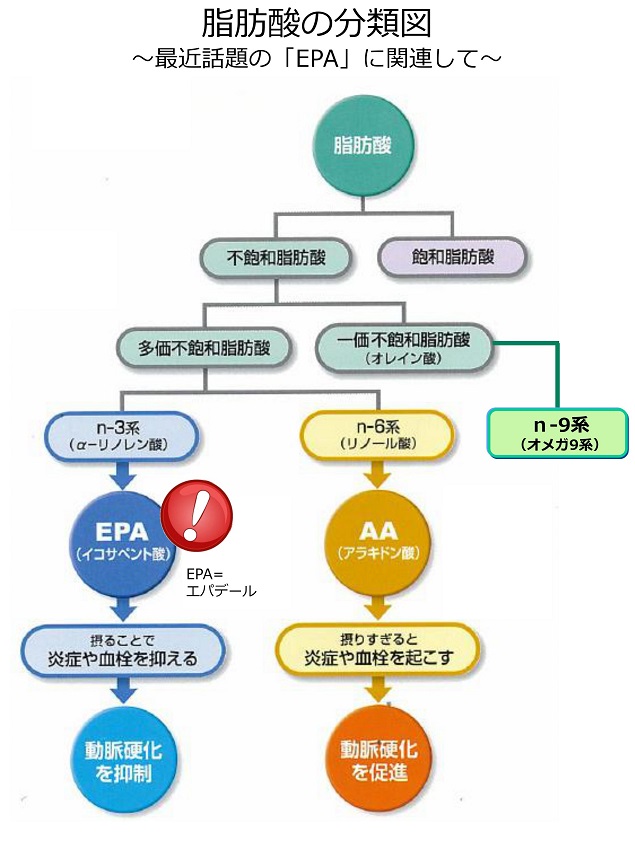 arteriosclerosis41.jpg